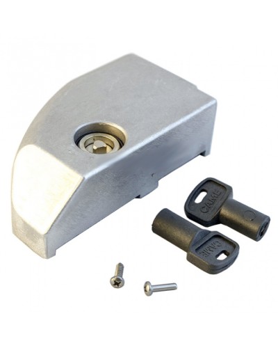 Дверца замка разблокировки BK Came 119RIBK012 в Оренбурге Запчасти для шлагбаумов и автоматики Pintop.ru