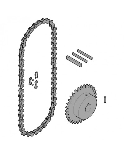 Передающая система (цепь и звездочки) C005 Came 119RICX016 в Оренбурге Запчасти для шлагбаумов и автоматики Pintop.ru