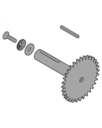 Звездочка C003 C004 C005 Came 119RICX013 в Оренбурге Запчасти для шлагбаумов и автоматики Pintop.ru