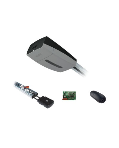 Came V10DMS3.25 KIT (до 3,25 м до 18 м2) - Комплект автоматики для секционных ворот высотой до 2,7 м на основе привода VER10DMS в Оренбурге Автоматизация ворот Pintop.ru