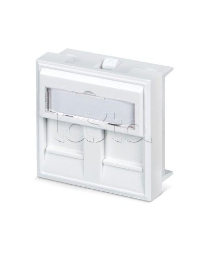 Вставка 45x45 (аналог Mosaic) для 2 модулей формата Keystone Jack Cabeus FP-45-2M в Оренбурге Модули Keystone Pintop.ru