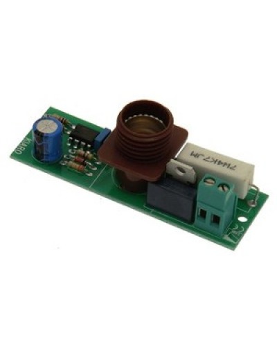 Плата лампы KIARO 24 Came 119RIR030 в Оренбурге Запчасти для шлагбаумов и автоматики Pintop.ru