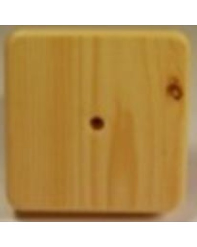 Коробка распаячная, с винтом, 100x100x20 (50 шт/уп) ПожТехКабель 030-009 в Оренбурге Распределительные коробки Pintop.ru