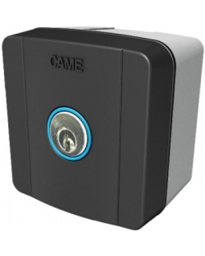 Ключ-выключатель накладной Came 806SL-0010 в Оренбурге Автоматизация ворот Pintop.ru