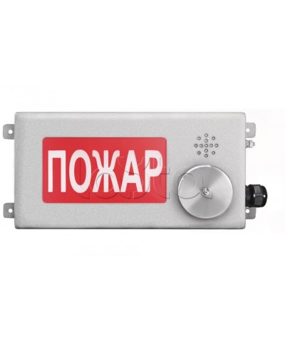 Табло светозвуковое взрывозащищенное Спектрон ТСЗВ-Exm-Н-Прометей-МИНИ 12-36В в Оренбурге Оповещатели Ex Pintop.ru