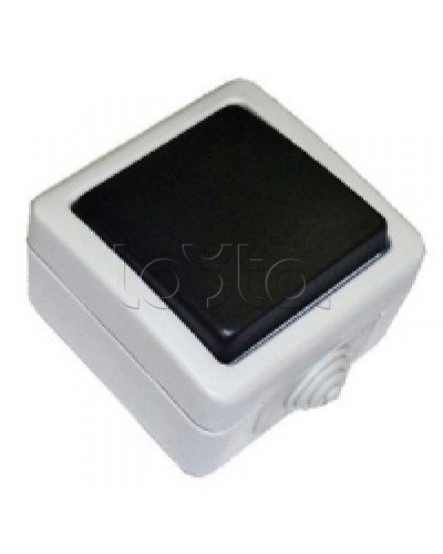 Экопласт EF600SW Переключатель одноклавишный с 2 мест с индикатором (сх.6L),10A (сер.) в Оренбурге Розетки компьютерные и телефонные Pintop.ru