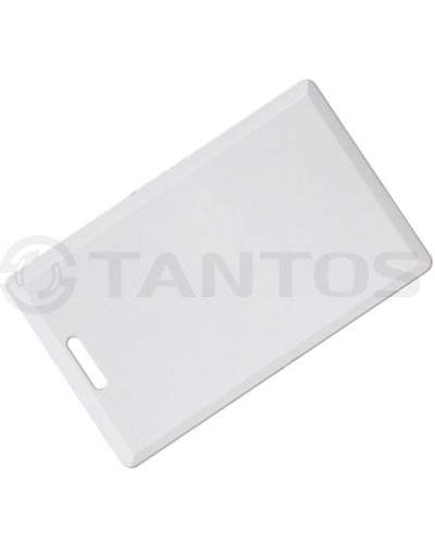 Карта толстая формата Temic Tantos Temic (толстая) TS в Оренбурге Оптовые идентификаторы Pintop.ru