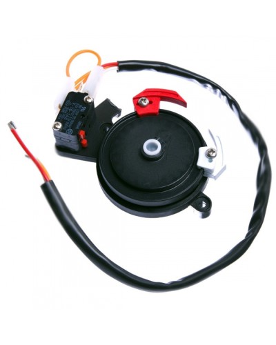 Концевые микровыключатели в сборе BX-243 Came 119RIBX041 в Оренбурге Запчасти для шлагбаумов и автоматики Pintop.ru