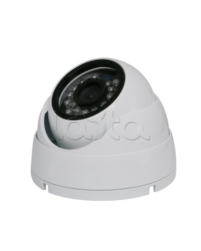 Камера видеонаблюдения купольная EverFocus ACE-IAB20XHD в Оренбурге Аналоговые камеры Pintop.ru