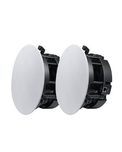 Двухполосный потолочный динамик DSPPA DW-2235 в Оренбурге Система оповещения и трансляции Dsppa Pintop.ru