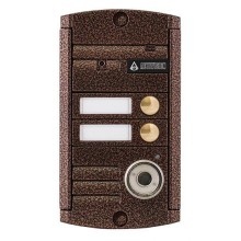 Видеопанель вызывная накладная цветная на 2 абонента с TM-считывателем Activision AVP-452 TM (PAL, антик)