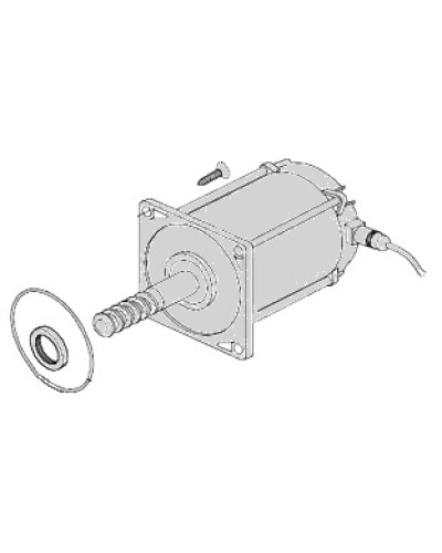 Электродвигатель Came 119RIA025 в Оренбурге Запчасти для шлагбаумов и автоматики Pintop.ru