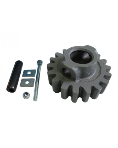 Шестерня ведущая ВК Came 119RIBK002 в Оренбурге Запчасти для шлагбаумов и автоматики Pintop.ru