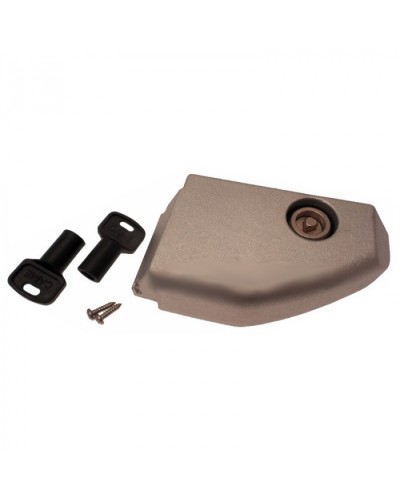 Дверца разблокировки с замком BX Came 119RIBX008 в Оренбурге Запчасти для шлагбаумов и автоматики Pintop.ru