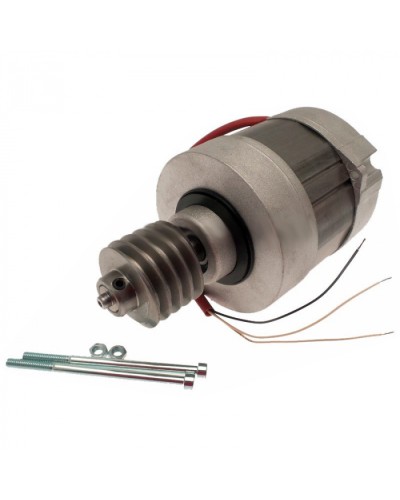 Электродвигатель BX-A, BX-74 в сборе Came 119RIBX016 в Оренбурге Запчасти для шлагбаумов и автоматики Pintop.ru