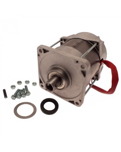 Электродвигатель FERNI Came 119RID087 в Оренбурге Запчасти для шлагбаумов и автоматики Pintop.ru