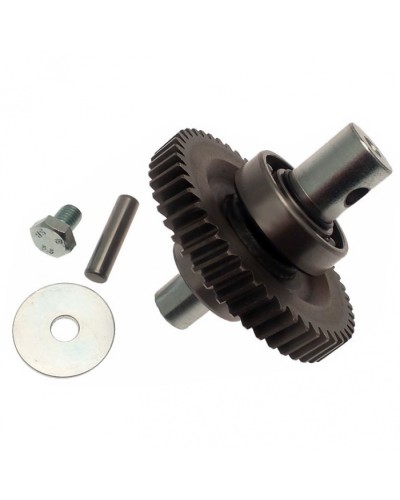 Шестерня редуктора FAST в сборе Came 119RID229 в Оренбурге Запчасти для шлагбаумов и автоматики Pintop.ru