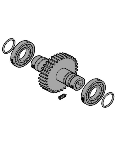 Вал выходной EMEGA Came 119RIE062 в Оренбурге Запчасти для шлагбаумов и автоматики Pintop.ru