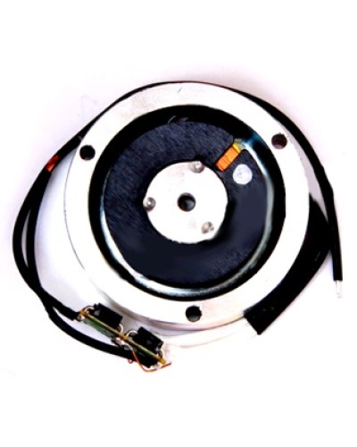 Электромагнит BY1500T Came 119RIY034 в Оренбурге Запчасти для шлагбаумов и автоматики Pintop.ru