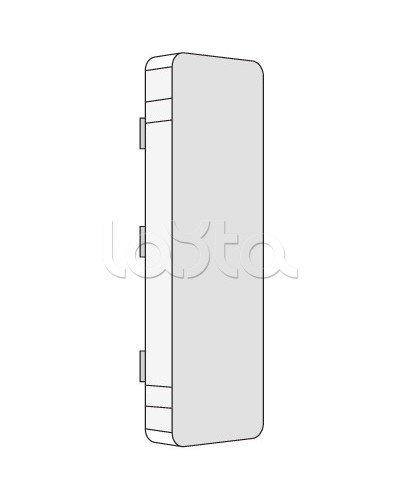Заглушка LAN 100x60 DKC 00874 в Оренбурге Аксессуары для кабель-канала Pintop.ru