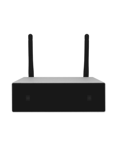 Усилитель потоковой передачи WIFI DSPPA DW-0250 в Оренбурге Система оповещения и трансляции Dsppa Pintop.ru