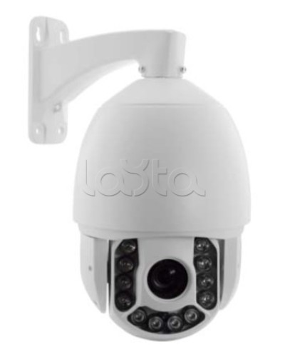 IP-камера видеонаблюдения купольная EverFocus ACE-ATE2033 в Оренбурге IP-камеры Pintop.ru