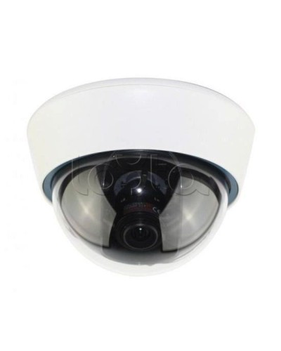 IP-камера видеонаблюдения купольная EverFocus ACE-IOV20A в Оренбурге IP-камеры Pintop.ru