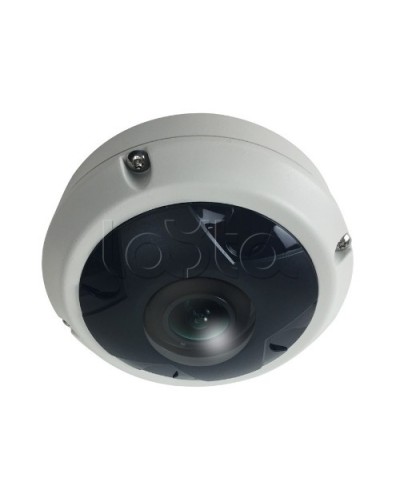 IP-камера видеонаблюдения купольная EverFocus ACE-KU89F в Оренбурге IP-камеры Pintop.ru