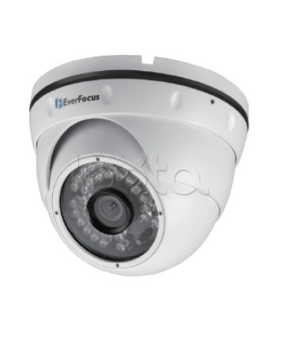 IP-камера видеонаблюдения уличная купольная EverFocus EBN-268 в Оренбурге IP-камеры Pintop.ru