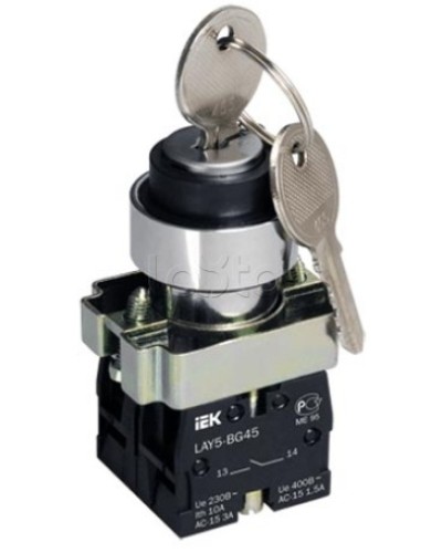 Переключатель LAY5-BG45 на 2 положения с ключом без фиксации IEK BSW80-BG-2-K02 в Оренбурге Аксессуары для стоек и шкафов Pintop.ru