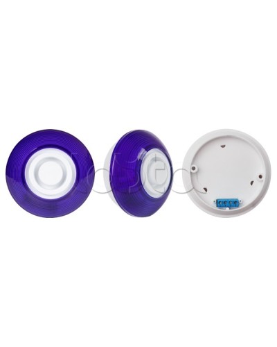 Оповещатель комбинированный SLT Марс 12-КП (строб, син) в Оренбурге Оповещатели Pintop.ru