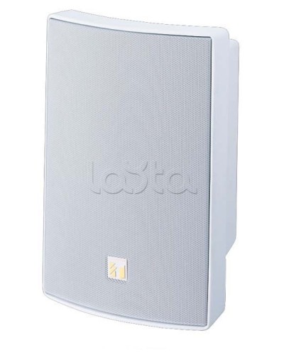 Громкоговоритель универсальный двухполосный TOA BS-1030W в Оренбурге Системы оповещения и трансляции TOA Pintop.ru