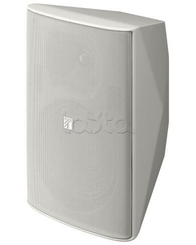 Громкоговоритель 2 полосный TOA F-2000 WT в Оренбурге Системы оповещения и трансляции TOA Pintop.ru