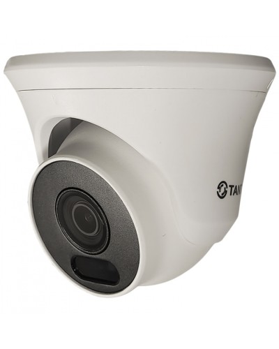 Видеокамера в купольном исполнении уличная Tantos TSc-Ee2FN в Оренбурге Системы видеонаблюдения Pintop.ru