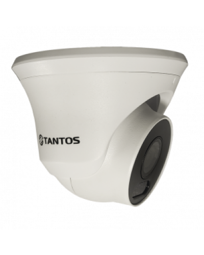 IP-видеокамера в купольном исполнении уличная Tantos TSi-Beco45FP в Оренбурге IP-камеры Pintop.ru