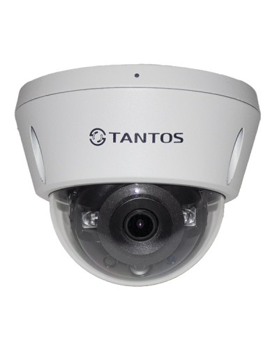 IP-видеокамера в купольном исполнении Tantos TSi-Vn253VZ в Оренбурге IP-камеры Pintop.ru