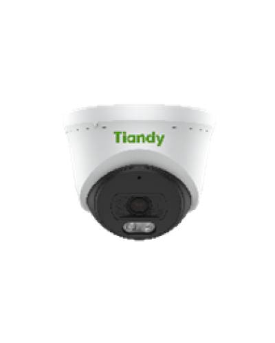 Купольная IP-камера Tiandy TC-C34XN Spec:I3W/E/Y/2.8mm/V4.2 в Оренбурге IP-камеры Pintop.ru