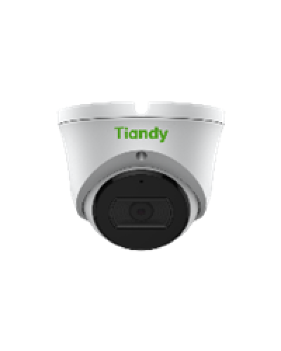 Уличная купольная IP-камера Tiandy TC-C35XS Spec:I3/E/Y/M/2.8mm/V4.0 в Оренбурге IP-камеры Pintop.ru
