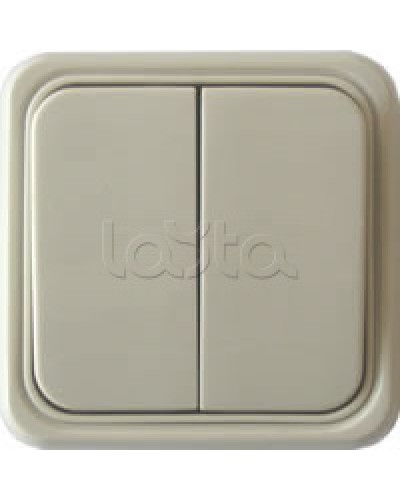 Выключатель двухклавишный открытой установки Экопласт, схема 5, (бежевый) в Оренбурге Розетки компьютерные и телефонные Pintop.ru