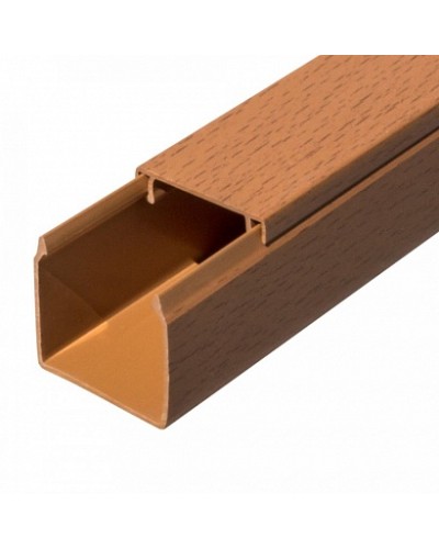 Кабель-канал бук 2-й замок в п/э 40х40 (24 м/уп) Промрукав (PR03.0201) в Оренбурге Огнестойкие кабельные линии Pintop.ru