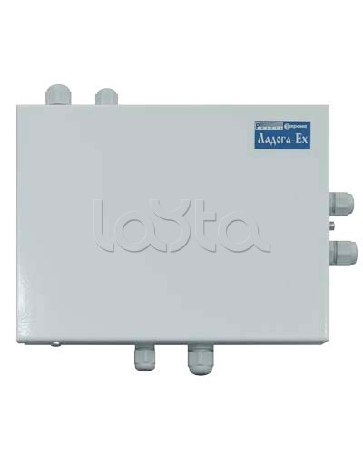 Блок расширения шлейфов сигнализации Риэлта БРШС-Ex в Оренбурге Системы охраны взрывоопасных объектов Pintop.ru