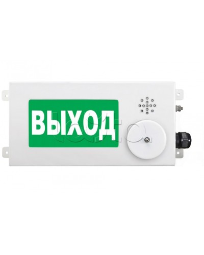 Табло световое взрывозащищенное Спектрон ТСВ-Exm-М-Прометей-МИНИ 220В в Оренбурге Оповещатели Ex Pintop.ru