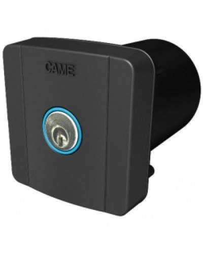 Ключ-выключатель встраиваемый Came 806SL-0020 в Оренбурге Запчасти для шлагбаумов и автоматики Pintop.ru