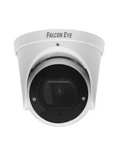 IP-камера видеонаблюдения купольная Falcon Eye FE-IPC-DV5-40pa в Оренбурге IP-камеры Pintop.ru