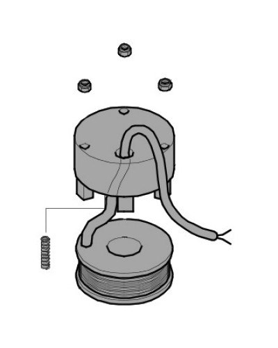 Электромагнит BX-P, BK-1200P Came 119RIBX035 в Оренбурге Запчасти для шлагбаумов и автоматики Pintop.ru