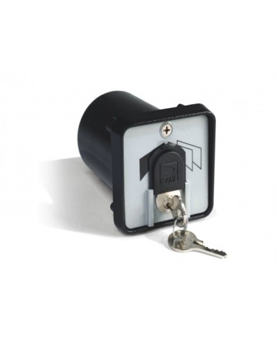 Ключ-выключатель с защитой цилиндра, встраиваемый Came 001SET-K в Оренбурге Запчасти для шлагбаумов и автоматики Pintop.ru